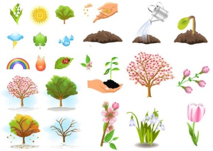 plant trees vectors graphics