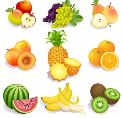 realistic fruit mix vector material
