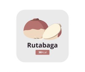 rutabaga vector icon