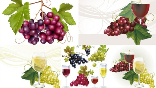 shiny grape with wine shiny vector