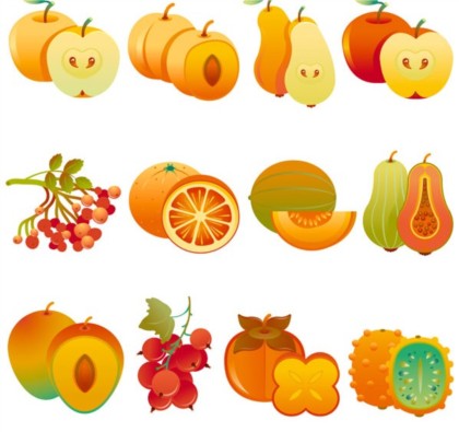 slit fruits design vector