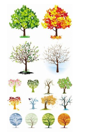 tree dream place to start design vector
