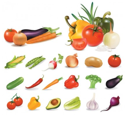 vegetables vector