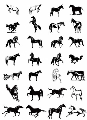 white horse clip art pictures vector