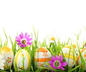 Basket of easter eggs on meadow Stock Photo 04