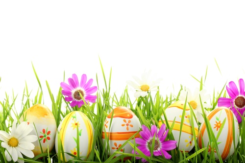 Basket of easter eggs on meadow Stock Photo 04