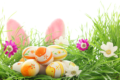Basket of easter eggs on meadow Stock Photo 06
