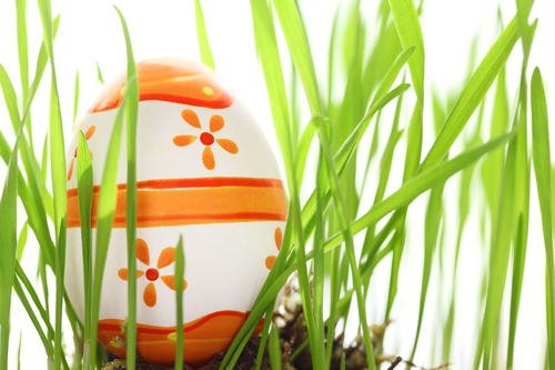 Basket of easter eggs on meadow Stock Photo 07