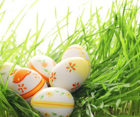 Basket of easter eggs on meadow Stock Photo 09