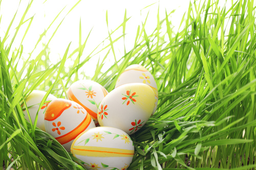 Basket of easter eggs on meadow Stock Photo 09