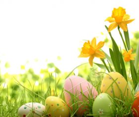 Basket of easter eggs on meadow Stock Photo 10