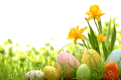 Basket of easter eggs on meadow Stock Photo 10