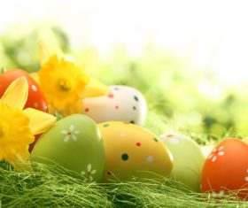 Basket of easter eggs on meadow Stock Photo 11