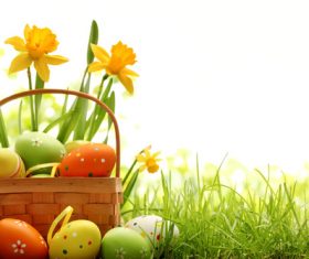 Basket of easter eggs on meadow Stock Photo 12