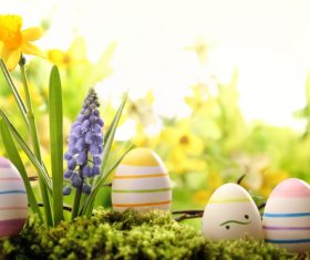 Basket of easter eggs on meadow Stock Photo 13