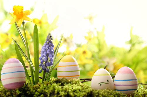 Basket of easter eggs on meadow Stock Photo 13