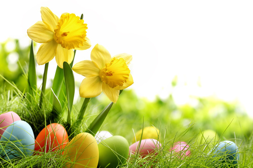 Basket of easter eggs on meadow Stock Photo 14