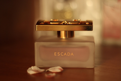 Beautifully designed perfume bottle Stock Photo 04