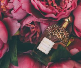 Beautifully designed perfume bottle Stock Photo 06