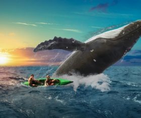Big whale jumping out of the sea Stock Photo