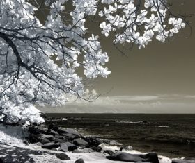 Black and white landscape photography Stock Photo 02