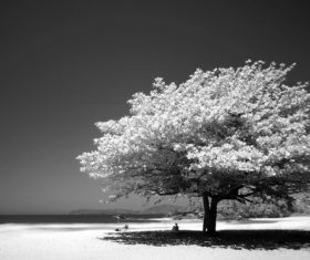 Black and white landscape photography Stock Photo 04