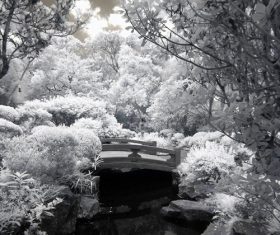 Black and white landscape photography Stock Photo 07