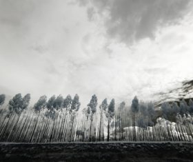 Black and white landscape photography Stock Photo 10