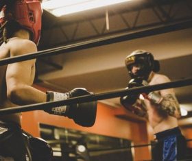 Boxing competition Stock Photo 01