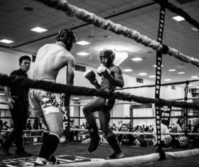 Boxing competition Stock Photo 04