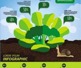 Broccoli infographic template vector material