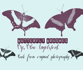 Butterfly HD Photoshop Brushes