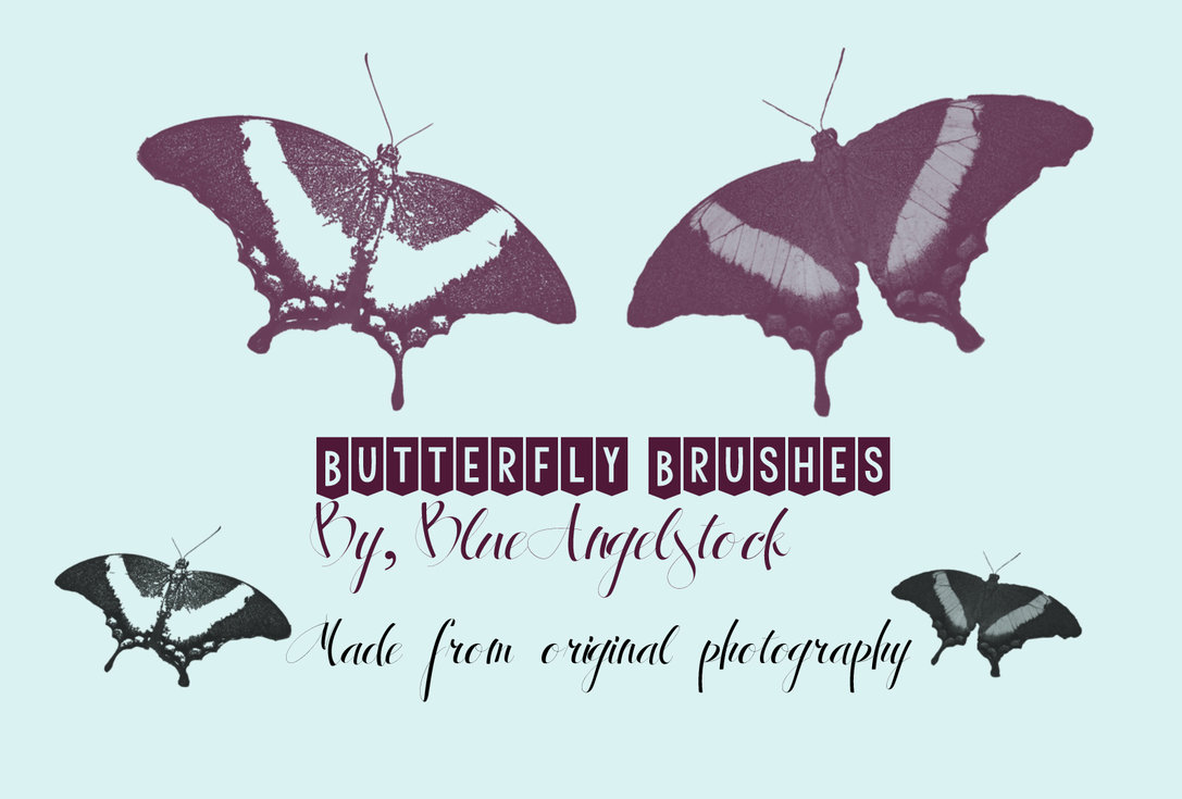 Butterfly HD Photoshop Brushes