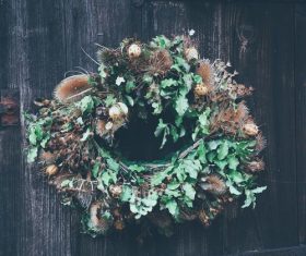 Christmas decoration Stock Photo 02