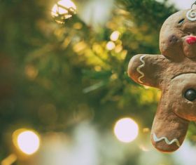 Christmas tree decoration Stock Photo 03