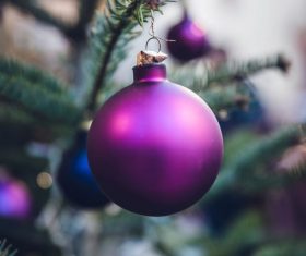 Christmas tree decoration Stock Photo 05