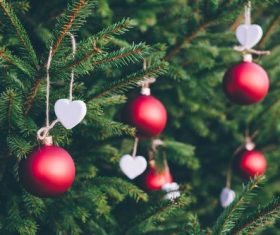 Christmas tree decoration Stock Photo 08