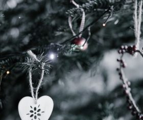 Christmas tree decoration Stock Photo 09