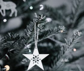 Christmas tree decoration Stock Photo 10