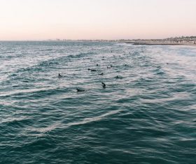 Crowd swimming in the sea Stock Photo