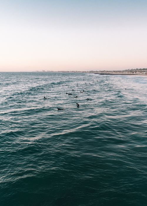 Crowd swimming in the sea Stock Photo