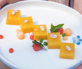 Delicious Cold Dishes Stock Photo 04