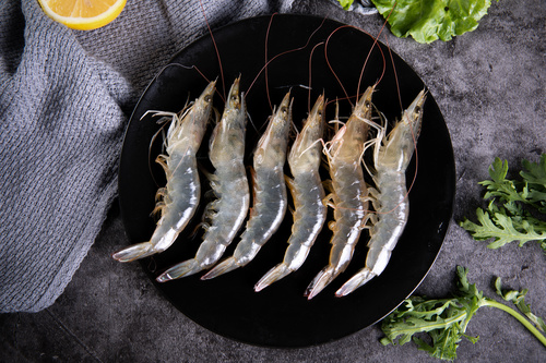 Delicious fresh base shrimp Stock Photo 02