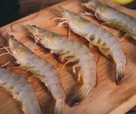 Delicious fresh base shrimp Stock Photo 05