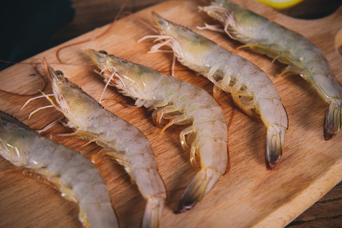Delicious fresh base shrimp Stock Photo 05