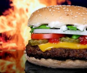 Fast food hamburger Stock Photo 03