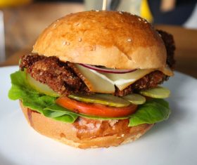 Fast food hamburger Stock Photo 08