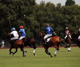 Fierce polo match Stock Photo 02