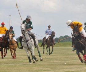 Fierce polo match Stock Photo 03