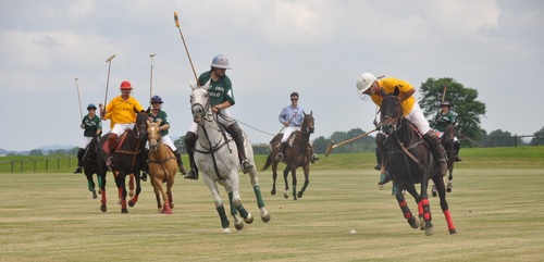 Fierce polo match Stock Photo 03